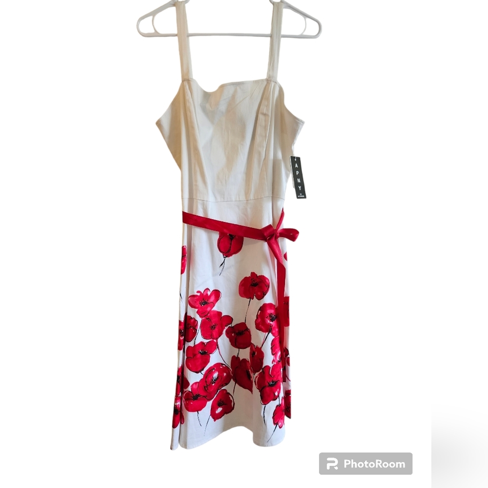 Alyn Page APNY dress New, size 12